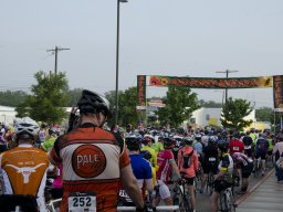 Red Poppy - BAR_5678